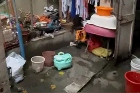 痒痒痒！一大波“咬人虫”猛袭沪上一老洋房！居民崩溃中……图片