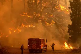 每天工作16小时，最低时薪14美元！美两万荒野消防员多患心理疾病图片
