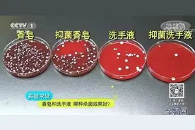震惊！香皂比洗手液更易滋生细菌？图片