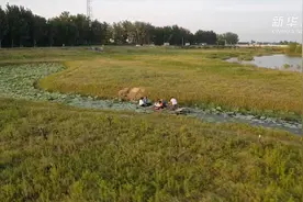 黄河故道那抹绿 绘就人民的生态小康视频封面