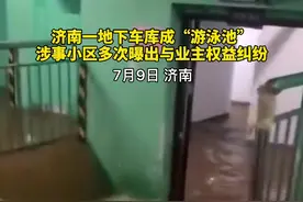 济南一地下车库成“游泳池”，涉事小区多次曝出与业主权益纠纷图片