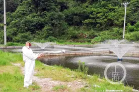 微信上买7000斤鱼 三个月后却越来越轻？塘主：我怀疑遭“耍了秤”图片