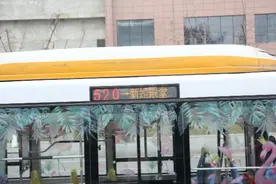 “520路”婚礼公交亮了！多为移风易俗创造条件图片