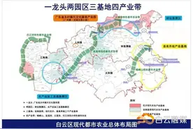 明确了！未来五年，白云将实行这张“1234”农业版图图片