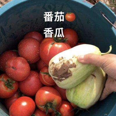 有了它干掉两碗饭不是事！超下饭的爆炒腊肠