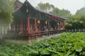 齐鲁早报｜寻子24年！电影《失孤》原型郭刚堂找到儿子图片