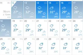 暴雨一来就打航班延误险主意？薅羊毛小心犯法图片