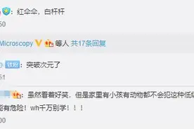 狗狗也中毒？！吃菌需谨慎，这份指南请速速查收→图片