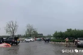 济南一景区湖里，下大雨仍有人在野泳！禁游牌子就立在旁边，不少孩子下水图片