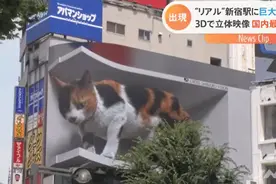 日本运营方回应街头3D巨型猫咪：希望它和八公齐名图片