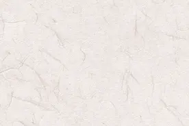 「百个瞬间说百年」1972，跨越太平洋的握手图片