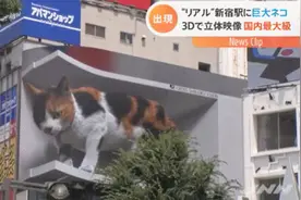 日本运营方回应街头3D巨型猫咪：希望它和八公齐名图片