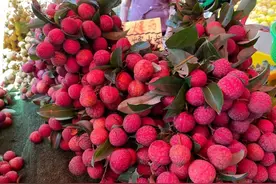 夏季水果接踵而来：荔枝逐渐退市，黄皮、龙眼等上新图片