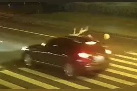 深夜，杭州姑娘踩着油门过…下一秒惨了图片