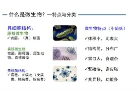 小生命大作用，微生物与环境安全的那些事（一）图片