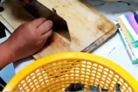 狗狗误食野生菌中毒后啃空气，网友：别拿野生菌开玩笑图片