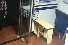 湖北一小刺猬溜进派出所大厅，民警给它搭建住所，网友：“它要报警还是袭警？”图片