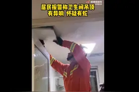 无人的卫生间经常出现怪声音 蚌埠五河消防撬开天花板发现“秘密”图片