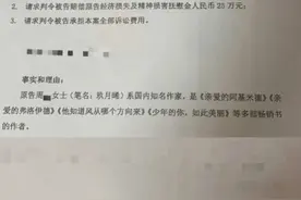 《少年的你》原著作者诉读者侵权，要求赔25万，怎么回事？图片