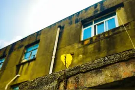 松江的这条老街上，随手一指，就能点出一段故事图片