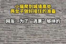 小猫爬城墙高处，两女子做好接住准备，网友：为了“逃票”够拼的图片