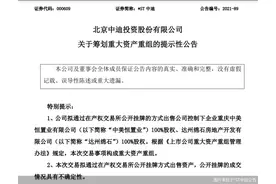 被房地产业务坑惨 *ST中迪忙甩包袱图片