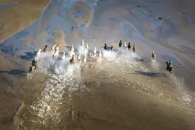 牧场壮阔！航拍内蒙古牧民骑马疾驰穿过水流图片