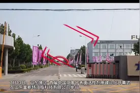 首届中国阳离子表面活性剂高峰论坛开幕式在山东富斯特隆重举行图片