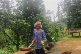 孙女偷偷回家，奶奶的反应令人笑而泪目，网友：想奶奶了图片