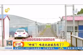 科学养殖新模式：大棚“种鱼”视频封面
