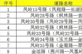 完善路网！南宁凤岭北片区将新建8条道路图片