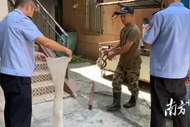 剧毒银环蛇造访梅州民宅，吓坏周边住户图片