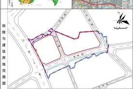 深圳市龙岗区城市更新和土地整备局关于《龙岗区平湖街道鹅公岭大岭片区城市更新单元规划（草案）》的公示图片
