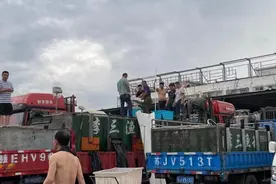 嘉燕水产市场的“数字化转型”：上海八成淡水鱼、五成小龙虾从这里销出图片