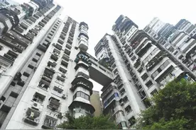 双面“白象”图片