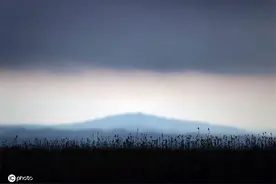 德国清晨浓雾笼罩 阿尔卑斯山麓层层叠叠美如画图片