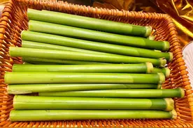 芦粟，一口清甜，崇明夏天的滋味图片