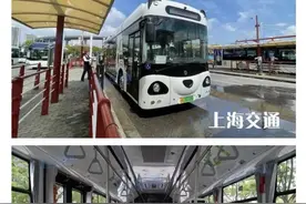 上海公交线这些之“最”，你知道几个？图片