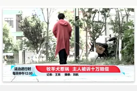 北京一女子遭德国牧羊犬咬伤，宠物狗也被咬死图片