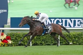 “金枪六十”当选香港马王，莫雷拉、方嘉柏荣膺“冠军骑练”图片