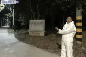 庙山汉墓群遭“黑手”江苏仪征警方抓获盗墓团伙图片