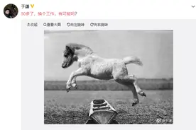 于谦发文称：50多了换个工作，有可能吗？​ 粉丝回应：想从捧哏换成逗哏了？图片