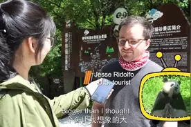 走，去熊猫家做客！视频封面