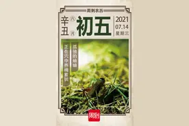 农历中国 | 六月初五 · 蟋蟀居宇图片