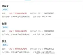 贾跃亭、甘薇被强制执行超14亿图片