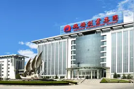 魏桥“过难关”？集团顶层公司现经营异常 不复为山东最大企业图片