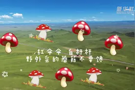 新华全媒+丨红伞伞 白杆杆 野外采的蘑菇不要馋图片