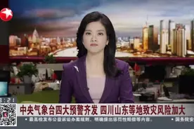 中央气象台四大预警齐发  四川山东等地致灾风险加大视频封面