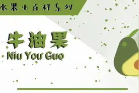 进口水果小百科系列图片