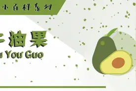进口水果小百科系列图片